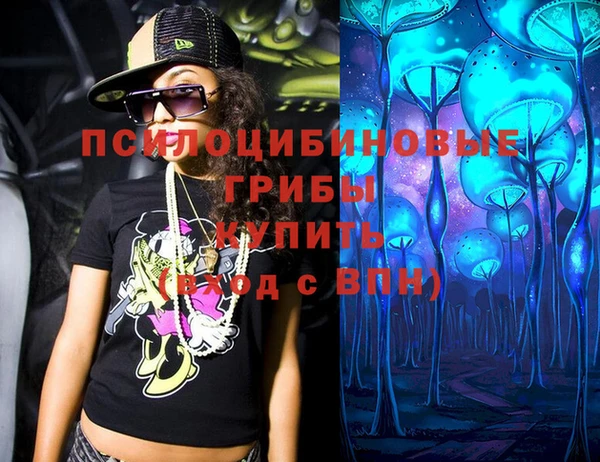 МДПВ Михайловск