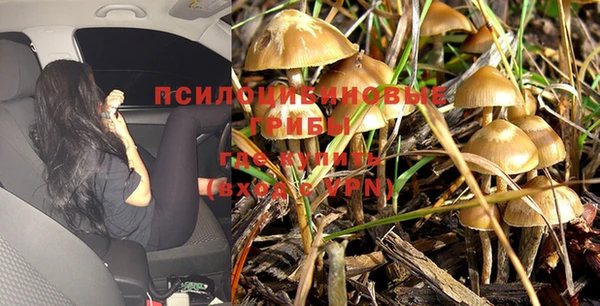 mdma Михайлов