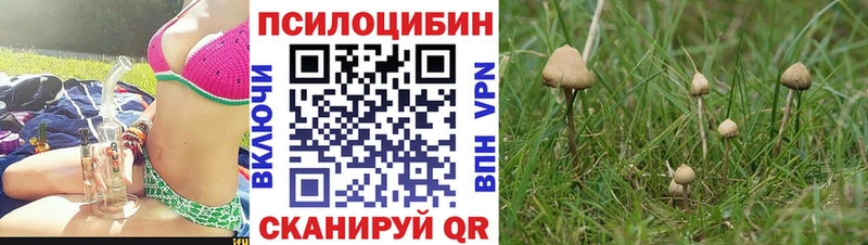 МЕГА зеркало  Елизаветинская  Псилоцибиновые грибы прущие грибы 